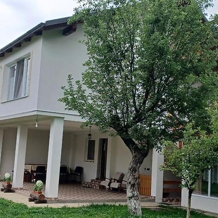 Pensjonat Casa Pandrea Cîrţişoara Zewnętrze zdjęcie
