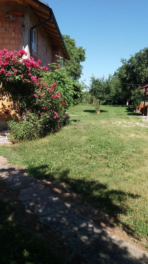 Pensjonat Casa Pandrea Cîrţişoara Zewnętrze zdjęcie