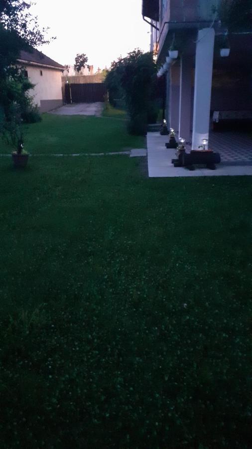 Pensjonat Casa Pandrea Cîrţişoara Zewnętrze zdjęcie