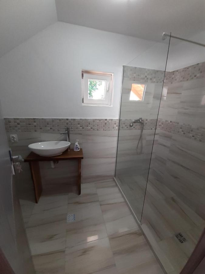 Pensjonat Casa Pandrea Cîrţişoara Zewnętrze zdjęcie