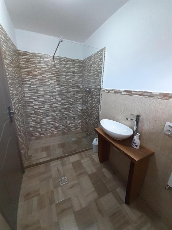 Pensjonat Casa Pandrea Cîrţişoara Zewnętrze zdjęcie