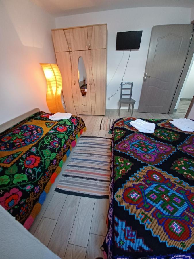 Pensjonat Casa Pandrea Cîrţişoara Zewnętrze zdjęcie