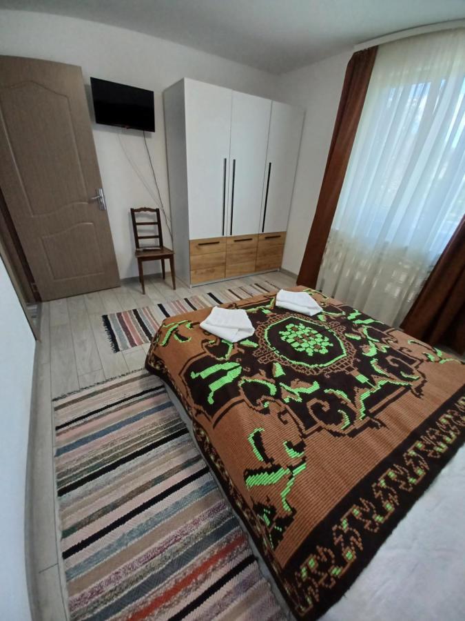 Pensjonat Casa Pandrea Cîrţişoara Zewnętrze zdjęcie