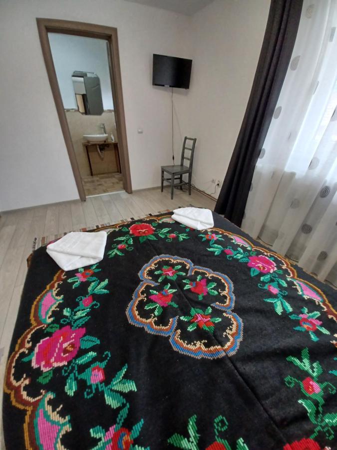 Pensjonat Casa Pandrea Cîrţişoara Zewnętrze zdjęcie