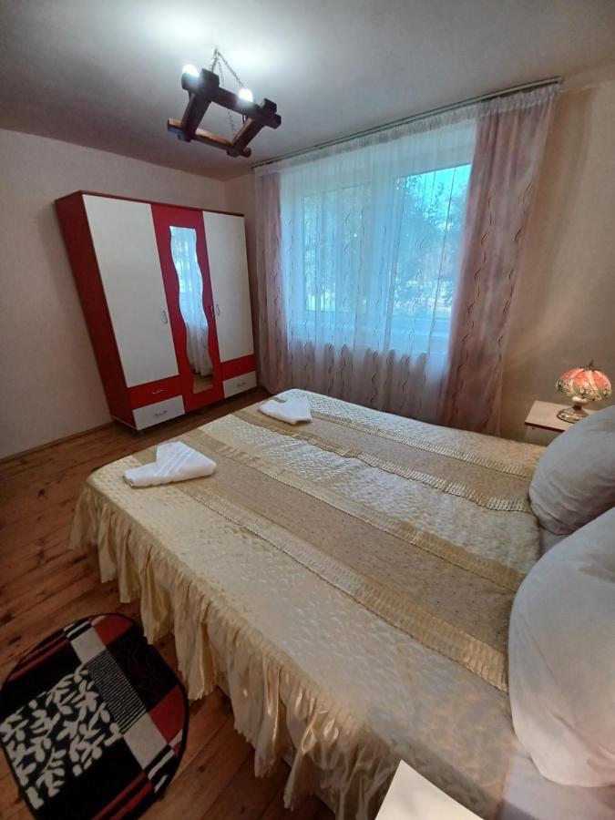 Pensjonat Casa Pandrea Cîrţişoara Zewnętrze zdjęcie