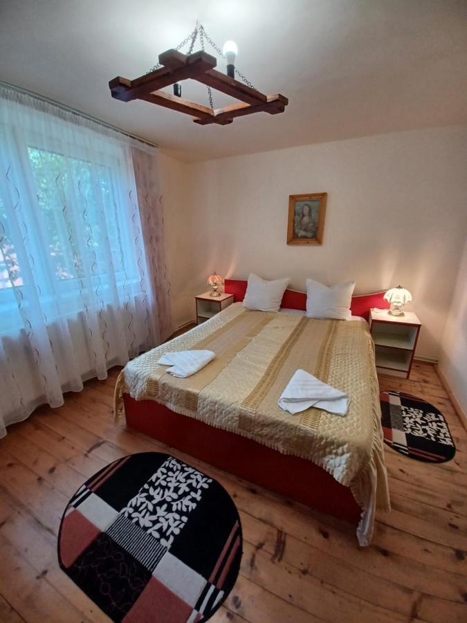 Pensjonat Casa Pandrea Cîrţişoara Zewnętrze zdjęcie