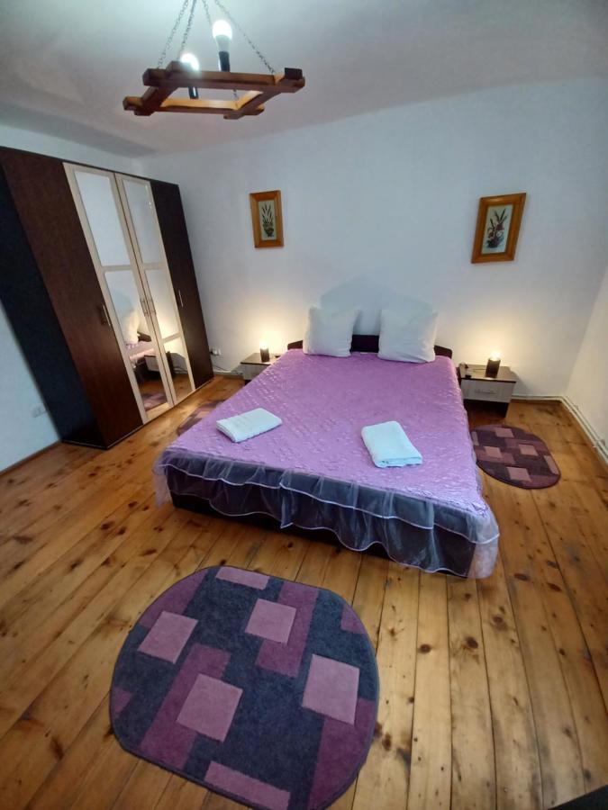 Pensjonat Casa Pandrea Cîrţişoara Zewnętrze zdjęcie