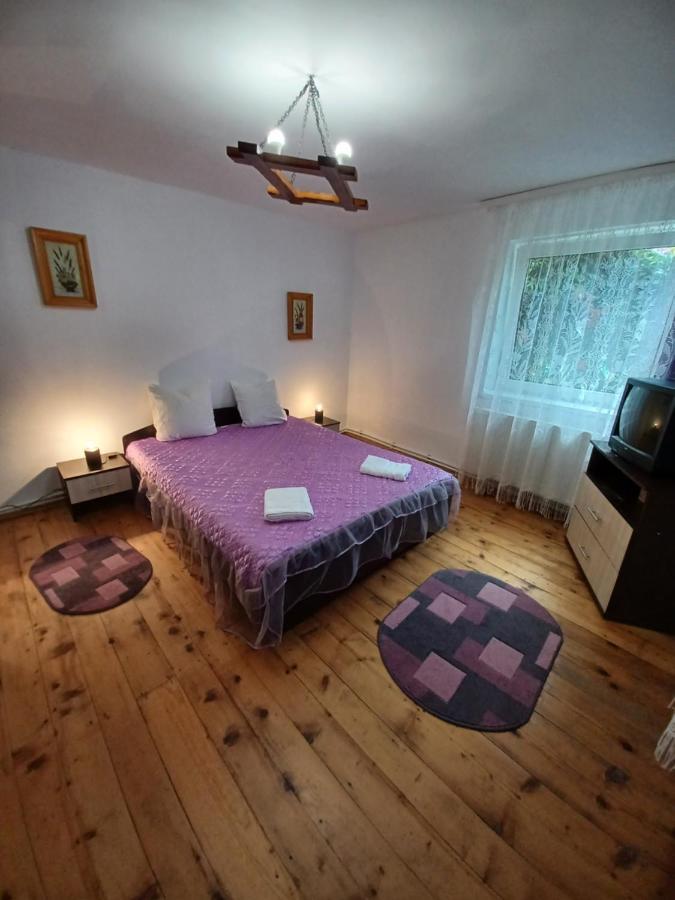 Pensjonat Casa Pandrea Cîrţişoara Zewnętrze zdjęcie