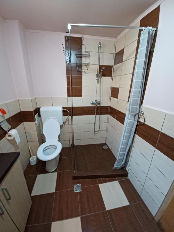 Pensjonat Casa Pandrea Cîrţişoara Zewnętrze zdjęcie