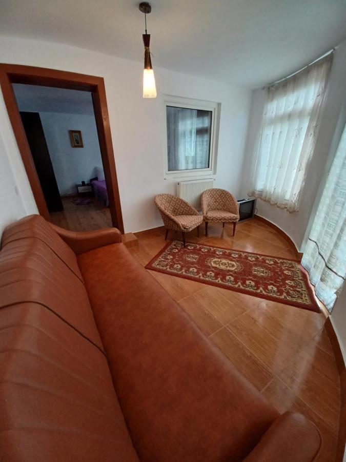 Pensjonat Casa Pandrea Cîrţişoara Zewnętrze zdjęcie