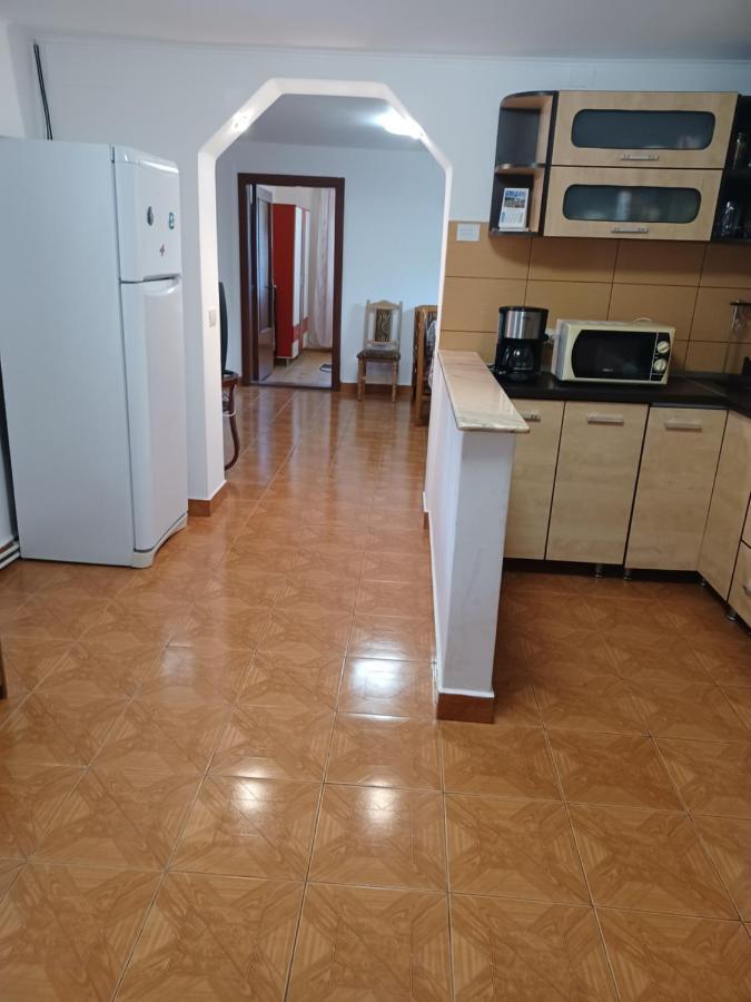 Pensjonat Casa Pandrea Cîrţişoara Zewnętrze zdjęcie