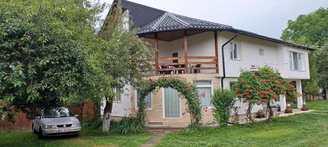 Pensjonat Casa Pandrea Cîrţişoara Zewnętrze zdjęcie