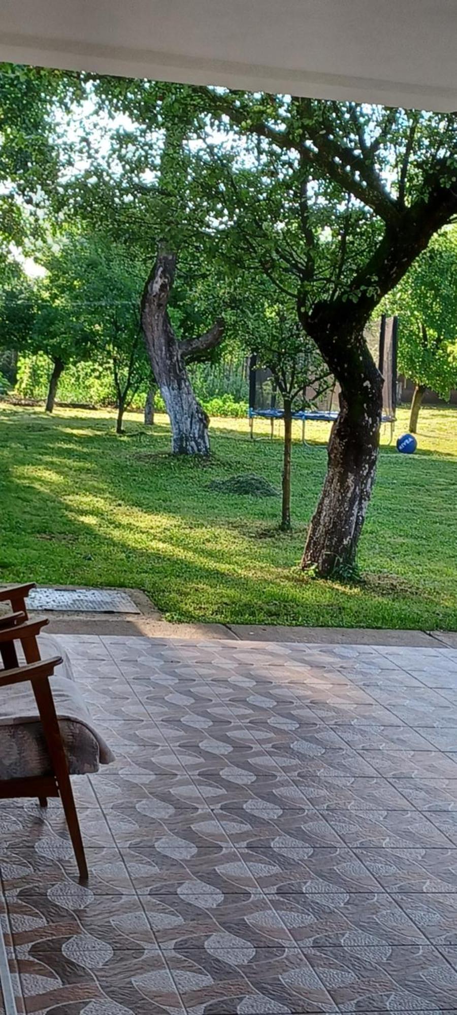 Pensjonat Casa Pandrea Cîrţişoara Zewnętrze zdjęcie
