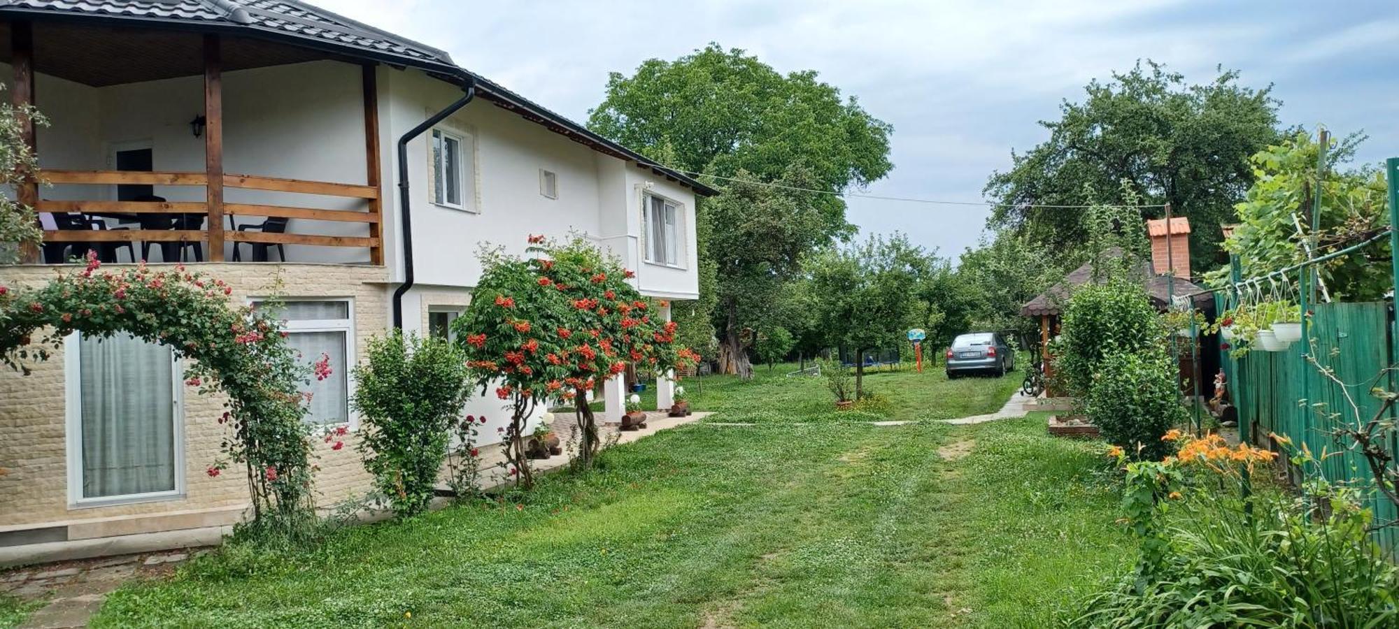 Pensjonat Casa Pandrea Cîrţişoara Zewnętrze zdjęcie