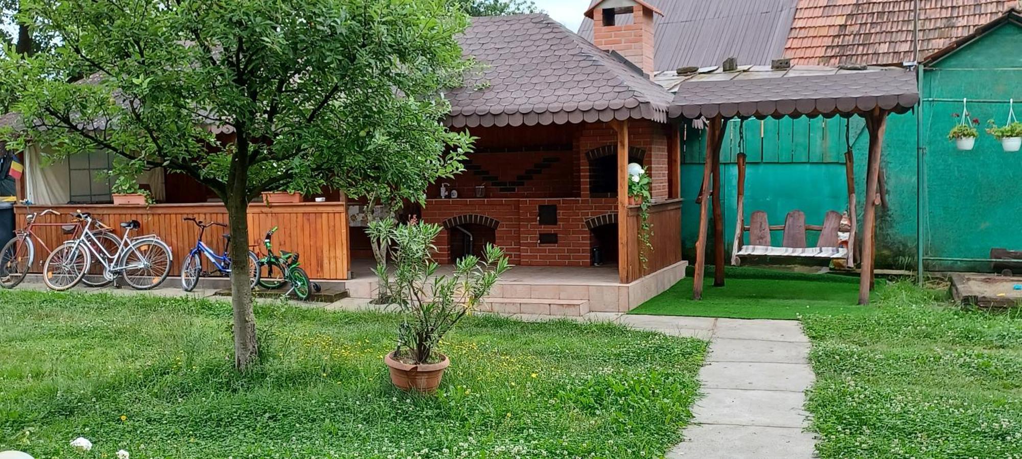 Pensjonat Casa Pandrea Cîrţişoara Zewnętrze zdjęcie